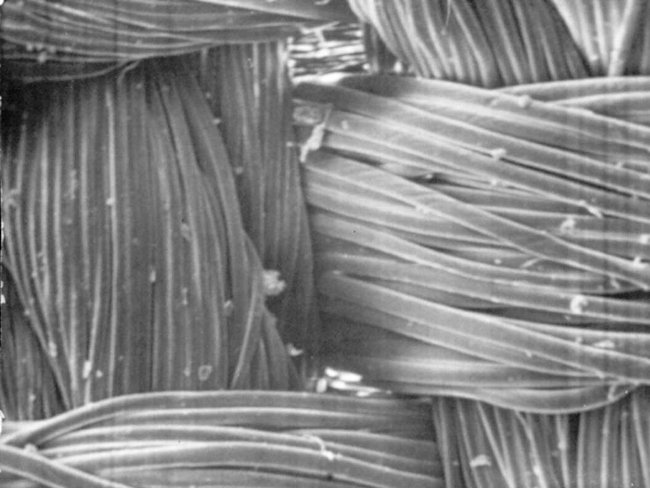 Антифрикционная ткань «Даклен-1» под микроскопом